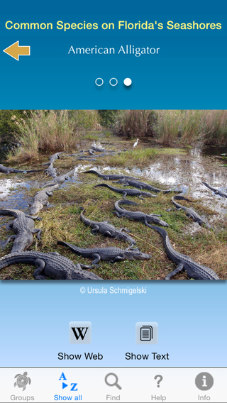 免費下載書籍APP|Guide to Florida Seashore Wildlife app開箱文|APP開箱王