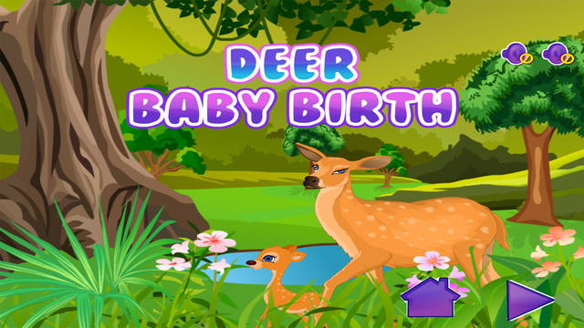 Deer baby birth - games for girls