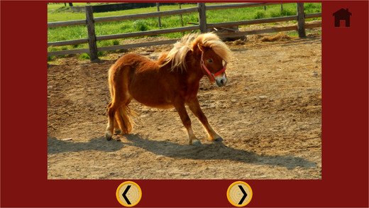 【免費遊戲App】Pony and carnival shooting for kids - without advertising-APP點子