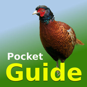 Pocket Guide UK Game LOGO-APP點子