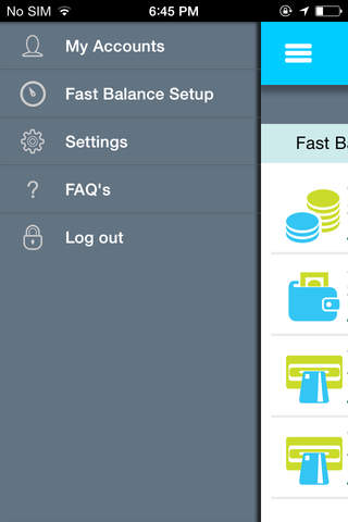 CBD Fast Balance screenshot 4