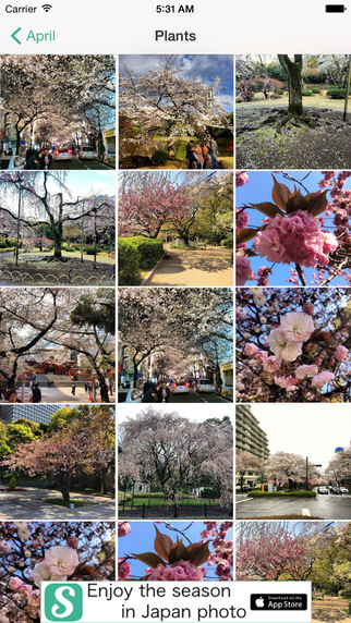 免費下載攝影APP|SeasonalSceneJp Enjoy the season in Japan photo app開箱文|APP開箱王