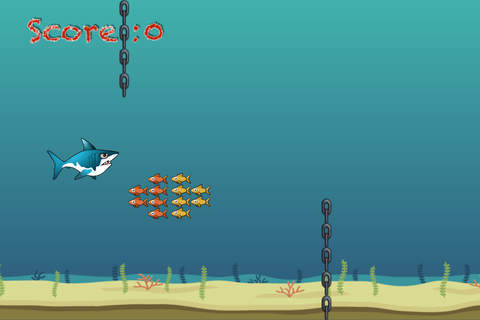 Shark Feeding screenshot 3