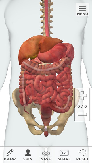 Gastroenterology Patient Education by CoherentRx