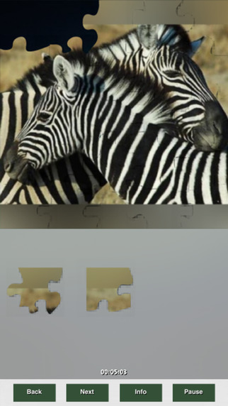 Puzzles Animals