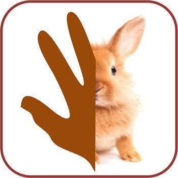 Rabbilo LOGO-APP點子