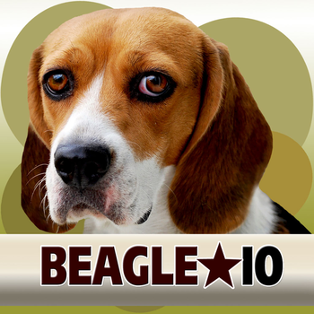 Beagle IO LOGO-APP點子