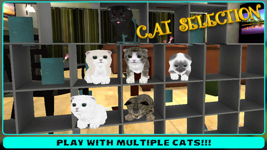 免費下載遊戲APP|Crazy Cat Pet Simulator 3D app開箱文|APP開箱王