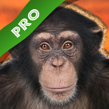 Play with Wildlife Safari Animals Jigsaw Game photo for toddlers and preschoolers LOGO-APP點子