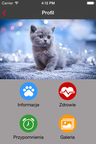 Modern Pet screenshot 2