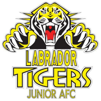 Labrador Junior AFC LOGO-APP點子