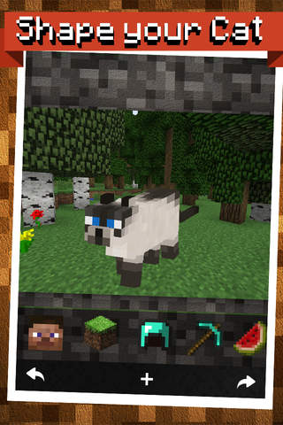 Catcrafter 3D - Mini fortress builder on your pics for Minecraft PE !!! screenshot 2