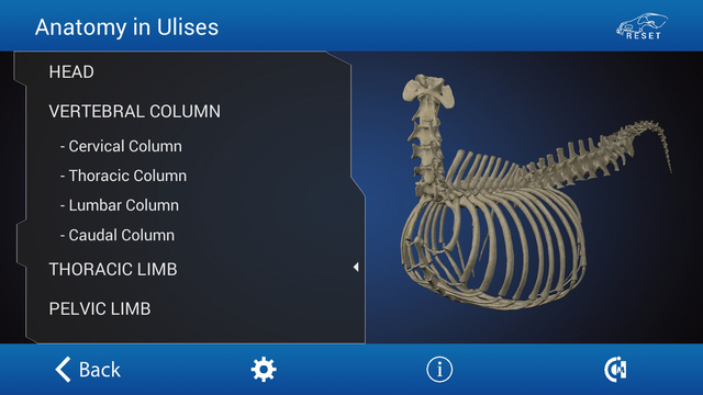 【免費醫療App】Osteology in Dogs-APP點子