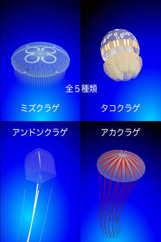 Jellyfish Simulator screenshot 2