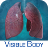 Visible Body - Respiratory Anatomy Atlas: Essential Reference for Students and Healthcare Professionals アートワーク