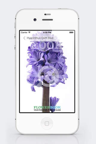 FlowerBook screenshot 3