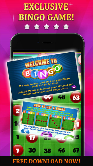 Bingo Lady Rush - Play Online Casino and Number Card Game for FREE