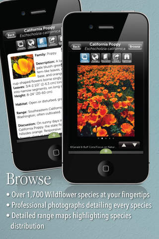 Audubon Wildflowers screenshot 2