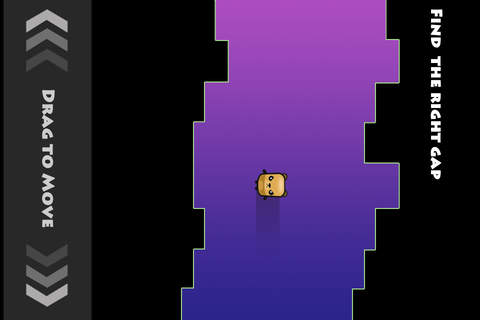 Stay In Gap-Don't touch and stop the bear in the Line screenshot 2