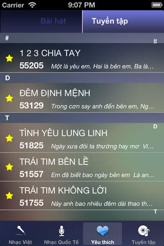 Karaoke Viet screenshot 3
