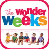 Domus Technica - The Wonder Weeks artwork