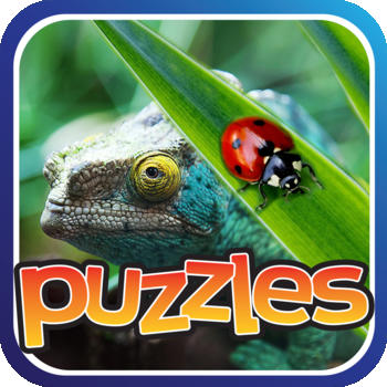 Puzzles of Bugs and Reptiles Life Game LOGO-APP點子