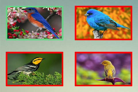 لعبة صور الطيور screenshot 2