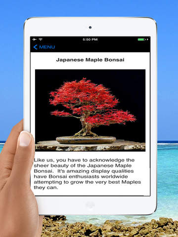免費下載娛樂APP|Learn Bonsai Tree app開箱文|APP開箱王