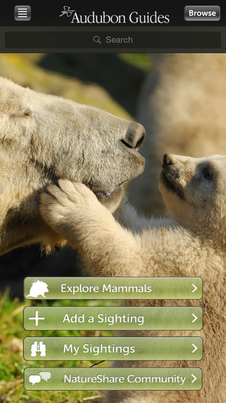Audubon Mammals - A Field Guide to North American Mammals