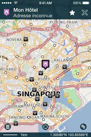 Pocket Singapore (Offline Map & Travel Guide) screenshot 2