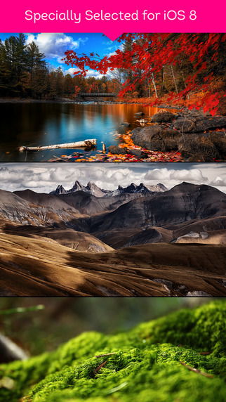 免費下載生活APP|Awesome Cool Nature Wallpapers HD - Get Best Natural Pictures And Beautiful World Of Natural Greenery app開箱文|APP開箱王