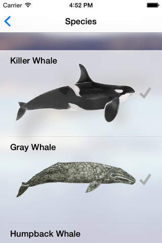 Whale Tracker screenshot 4
