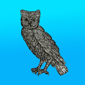 Owlwise LOGO-APP點子