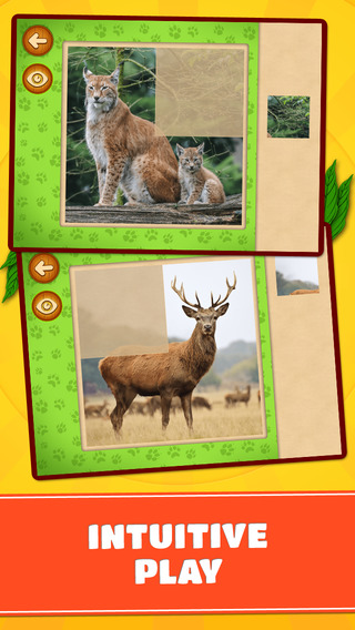 免費下載遊戲APP|Forest & Jungle Animals Puzzles – Logic Game for Toddlers, Preschool Kids, Little Boys and Girls app開箱文|APP開箱王