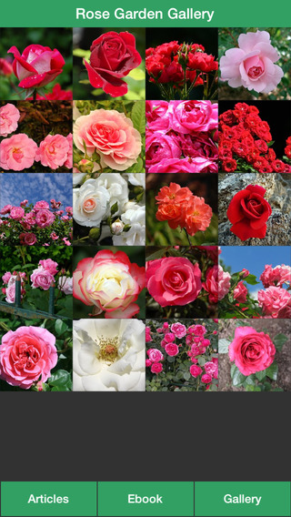 【免費生活App】Rose Garden Guide - A Guide To Planting Your Own Rose Garden Successfully!-APP點子