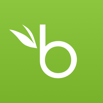 BambooHR LOGO-APP點子