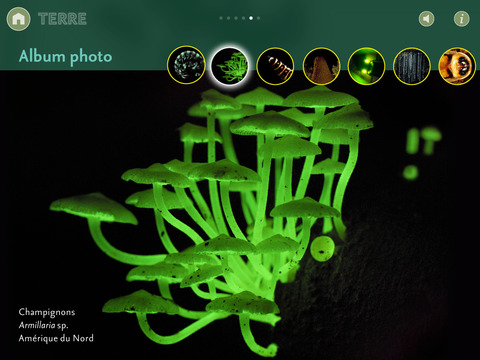 Bioluminescence screenshot 3