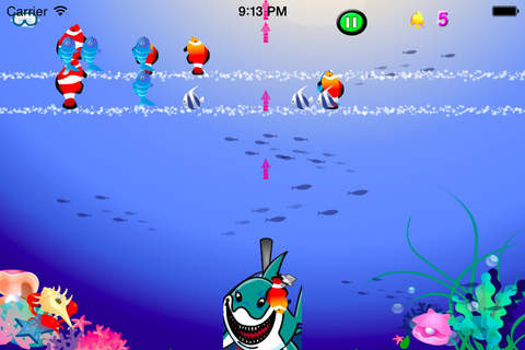 Splash Shark screenshot 2