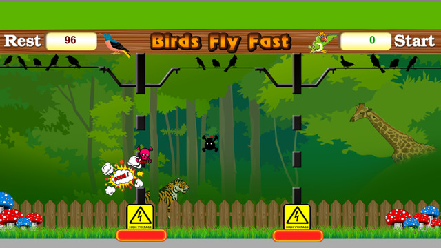 免費下載遊戲APP|Birds Fly Fast - Free Game for Kids app開箱文|APP開箱王