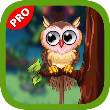 Cute Owl - Decorate Your Owl 遊戲 App LOGO-APP開箱王