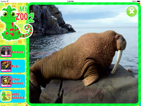 MY ZOO 2 - Learn Animal Names screenshot 3