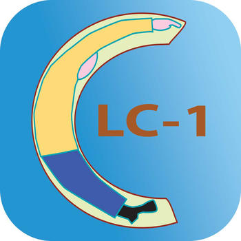 LuyenCau1 教育 App LOGO-APP開箱王
