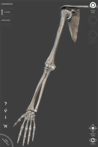 Skeleton 3D Anatomy screenshot 2