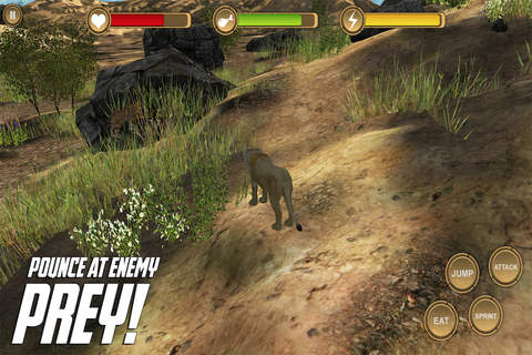 Lioness Simulator - HD screenshot 3