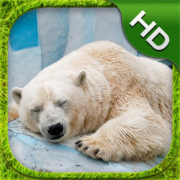 Polar Bear Simulator - HD LOGO-APP點子