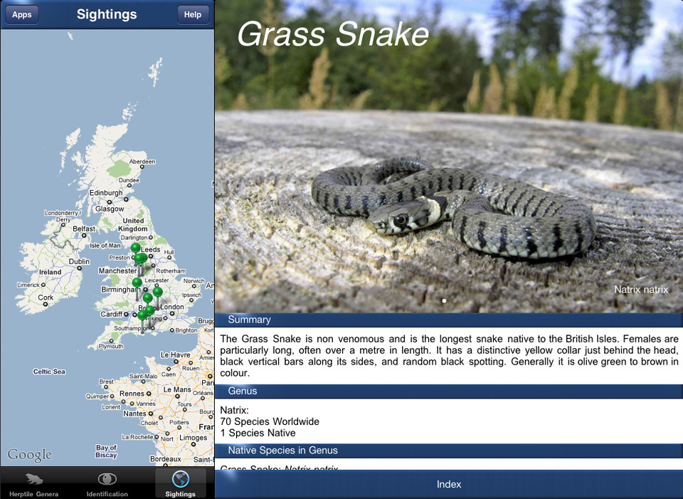 Herptile Id - the Amphibian and Reptile Conservation (ARC) trust's