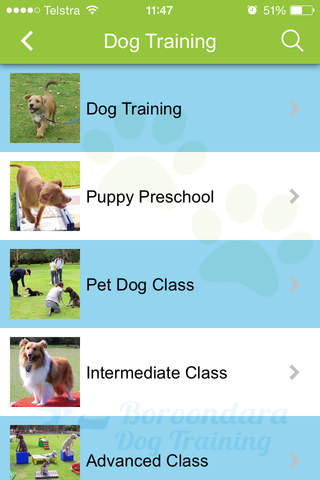 Boroondara Dog Training screenshot 4