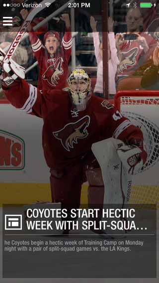 Arizona Coyotes