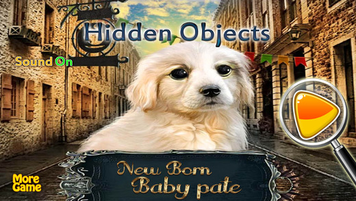 New Born Baby Pet Hidden Objects