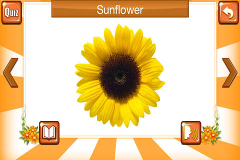 Learn By Fun Flowers screenshot 3